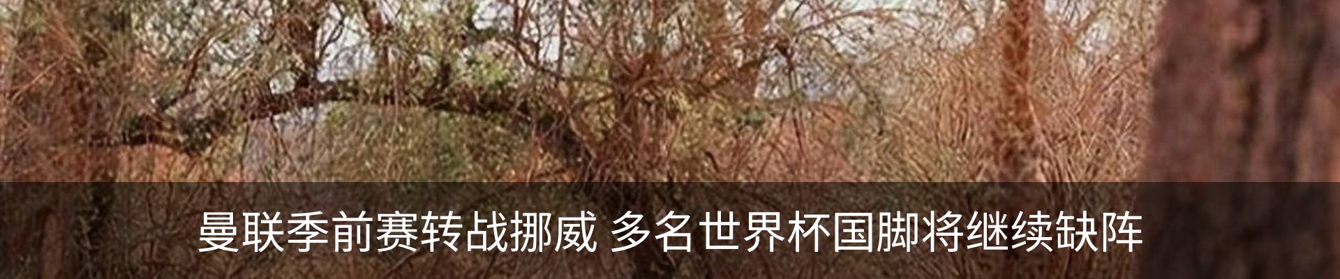 行业资讯