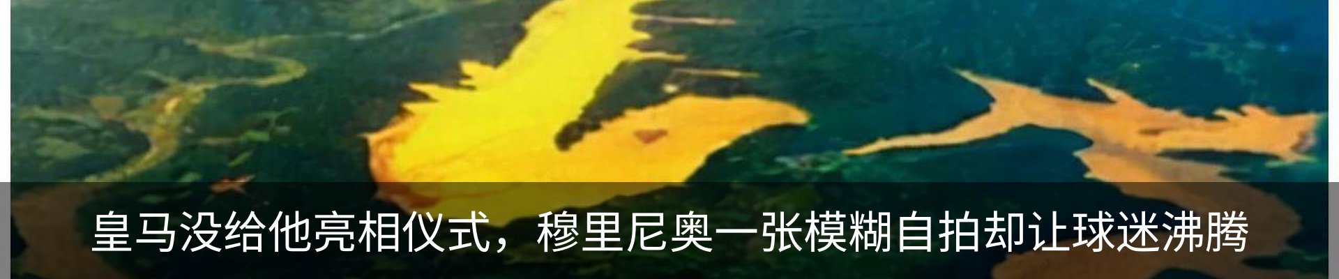 行业资讯