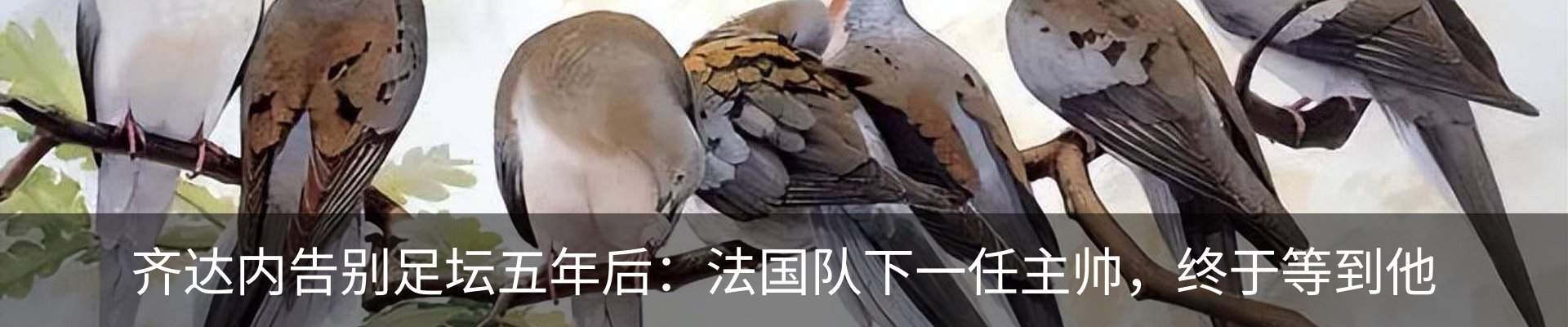 行业资讯